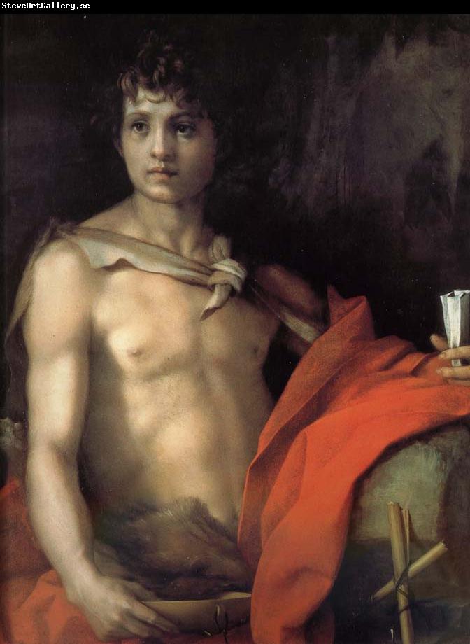 Andrea del Sarto Johannes as juvenile
